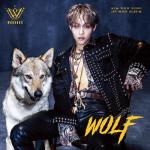 album image FACE (Instrumental) WOLF