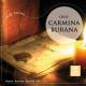 Janice Watson, James Bowman, Donald Maxwell, Bournemouth Symphony Chorus, Waynflete Singers, Highcliffe Junior Choir, Bournemouth Symphony Orchestra, David Hill - Orff: Carmina Burana: Introduction, Fortuna Imperatrix Mundi, No. 1 "O Fortuna" (Chorus)