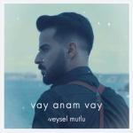 album image vay anam vay vay anam vay - Single