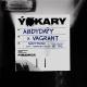 Abdy Dayy feat. Vagrant - Ýokary