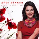album image Sen Affetsen Ben Affetmem Demiştim Değil Mi?