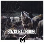 album image Mt & Tuba Aksoy - Bozkurt Ordusu Bozkurt Ordusu (feat. Tuğba Aksoy) - Single