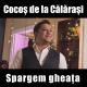 Cocos de la Calarasi - Hai sa spargem gheata