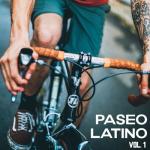 album image Irresistible Paseo Latino Vol. 1