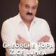 Gheorghe Topa - Gheorghe Topa-Zice lumea
