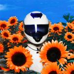 album image Hurting on Purpose (feat. K.Flay) Fantasy