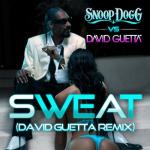 album image Sweat (Radio Edit) Sweat/Wet - EP