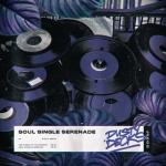 album image The Riddle of the Record Soul Single Serenade - Single
