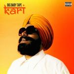 album image I Like It (Dillon Francis Remix) (Dillon Francis Remix) KARI - Single