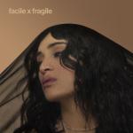album image Le monde en main facile x fragile