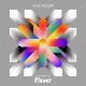 THE ROOP - Discoteque