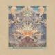 Junip - Official