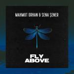 album image Fly Above Fly Above - Single