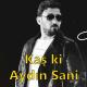 Unknown artist - Aydın Sani - İnadkar