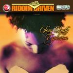 album image Shaggy feat. Paul_Hey sexy lady (remix 2004) Riddim Driven: Sexy Lady Explosion