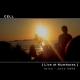 Daniel Campos MX - De Oro / Devil Eyes (Spanish Remix)