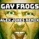 placeboing - Gay Frogs (Alex Jones Remix) - Extended