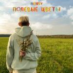 album image Полевые цветы Полевые цветы - Single