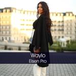 album image Arabic Remix - Waylo (Laziz Azimov & Hayit Murat Remix)