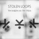 Stolen Loops - Stolen Loops  Проснись это любовь OST Мир Дружба Жвачка 2 сезон