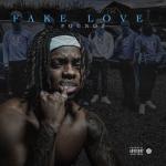 album image Fake Love Fake Love - Single