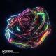 Magic Music - Hypnotized (Coffeeshop & Thatsimo & Stella Key Cover) (Magic Cover Release)