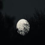 album image Ah Canım Sevgilim Dibe İniyorum (Demo)