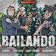 Cuban Deejays, Ceky Viciny, DJ Shorty - Bailando