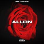 album image Hard Times Allein - Single
