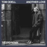 album image Another Love (Tiësto Remix) Another Love (Tiësto Remix) - Single
