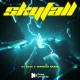DBSound - Skyfall