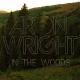 Aron Wright - In the woods