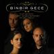 Binbir Gece - (Jenerik Gitar)