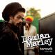 Damien Marley - Welcome to Jamrock