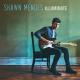 Shawn Mendes - Mercy (Acoustic Guitar)