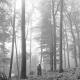 Taylor Swift - Cardigan (TikTok Ver)