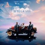 album image Si Tu La Ves Si Tú La Ves - Single