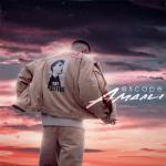 album image escape - амали Амали - Single