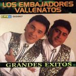album image Que se le moja la canoa Grandes Exitos