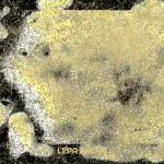 album image Robinja