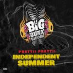 poster Independent Summer Independent Summer