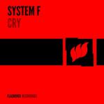 album image Cry (Alex K Remix)