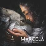 album image Roman Havasi O'Roma