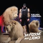 poster On fait la fête La fosse aux lions