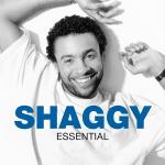 poster Boombastic (Original Mix) Essential