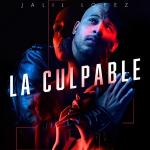 poster La Culpable La Culpable
