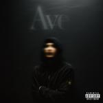 album image amsterdam x she will (tik tok version)