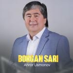 album image Bizga Bahor Begonadur Borgan Sari ()