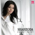 poster Habibi Rahmat hayot