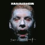 album image Tier Sehnsucht